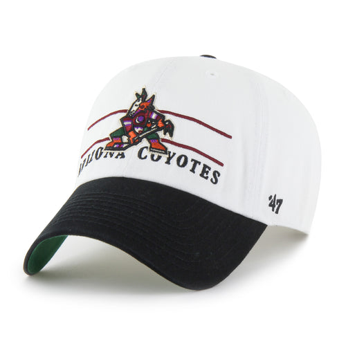 ARIZONA COYOTES ARENA '47 CLEAN UP