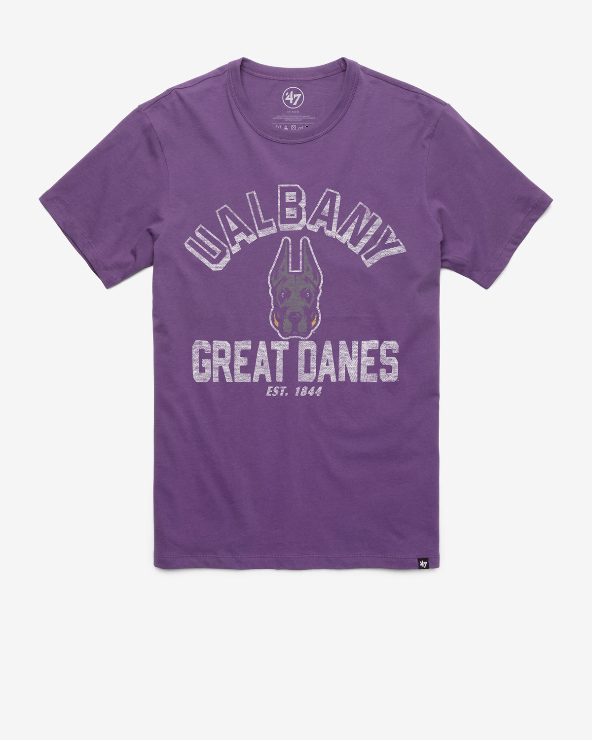 SUNY ALBANY GREAT DANES RETROGRADE '47 FRANKLIN TEE